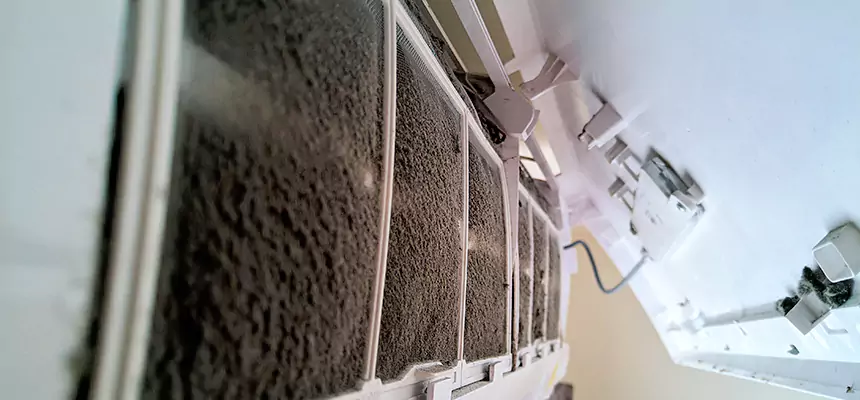 Preventive Air Duct Bacteria Removal in Wilson