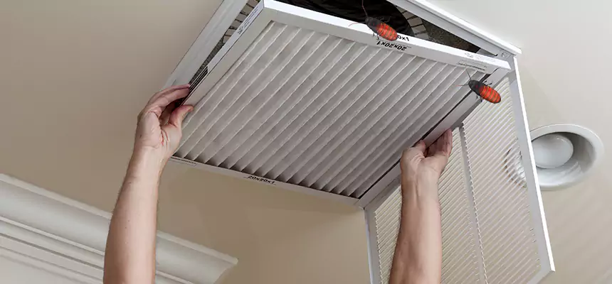Preventive Cockroach-Proofing for Ducts in Wilson