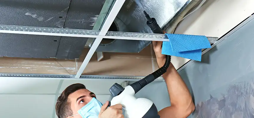 Our Air Duct Rodent Removal Services in Wilson, NC