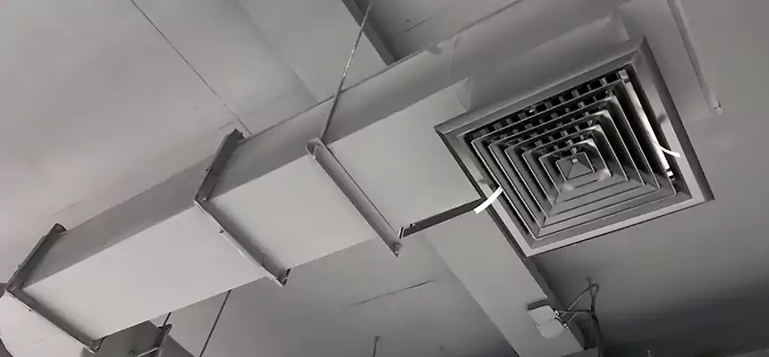 Our Pest Removal From Ducts Services in Wilson, NC