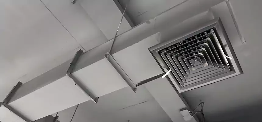 Our Rodent Droppings In Vents Services in Wilson, NC