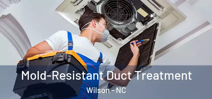  Mold-Resistant Duct Treatment Wilson - NC