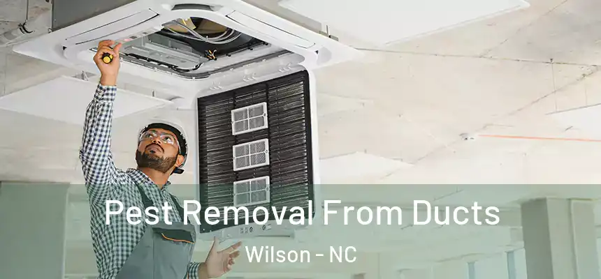  Pest Removal From Ducts Wilson - NC