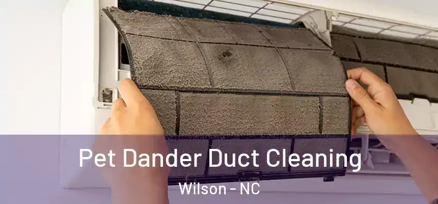 Pet Dander Duct Cleaning Wilson - NC