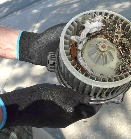 About Air Duct Mice Removal in Wilson, NC