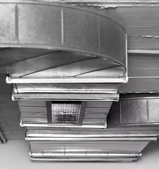 Professional Air Duct Pet Hair Removal in Wilson, NC