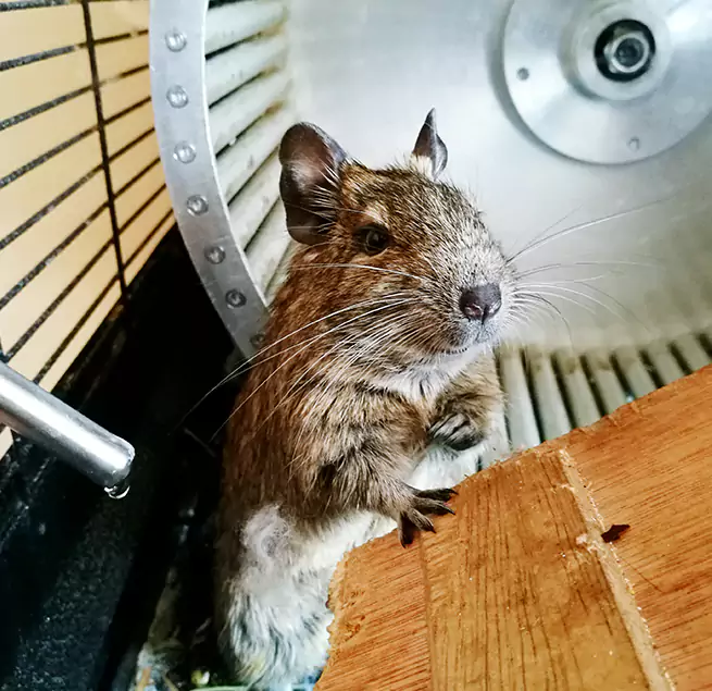 Why Homeowners & Businesses Trust Us Wilson, NC