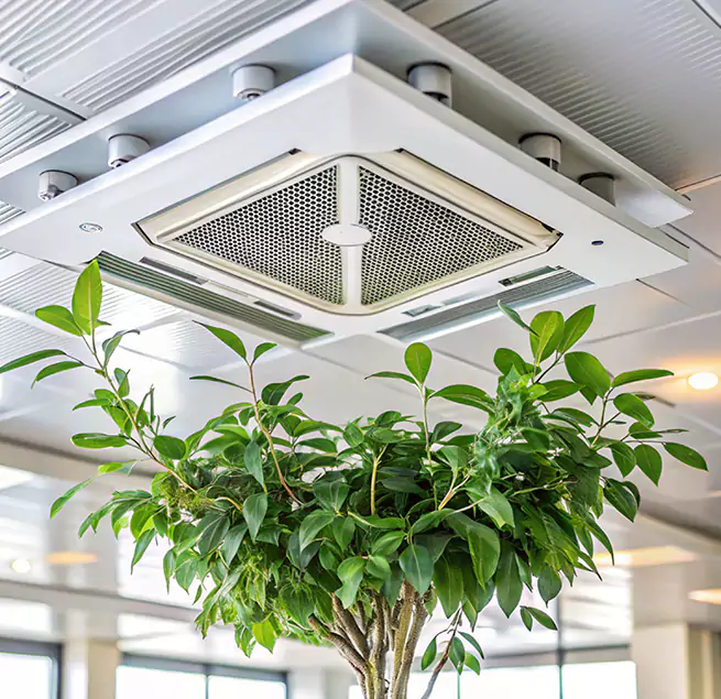 Why Homeowners & Businesses Trust Us in Wilson, NC?