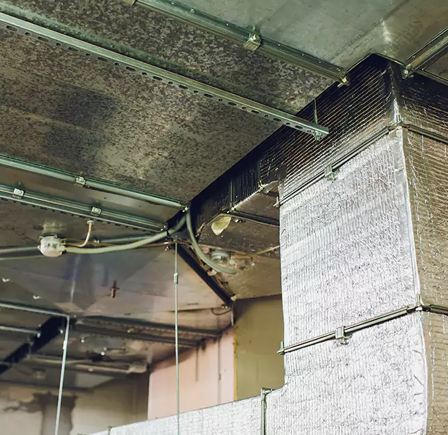 Why Homeowners & Businesses Trust Us in Wilson, NC?