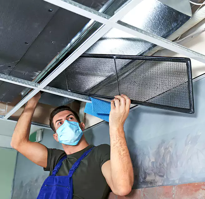 Why Homeowners Businesses Trust Us in Wilson, NC